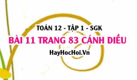 Bài 11 trang 83 Toán 12 tập 1 Cánh Diều